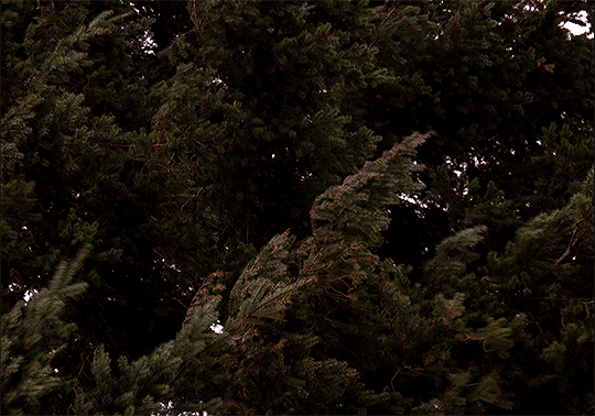 Art by Shatteredankles